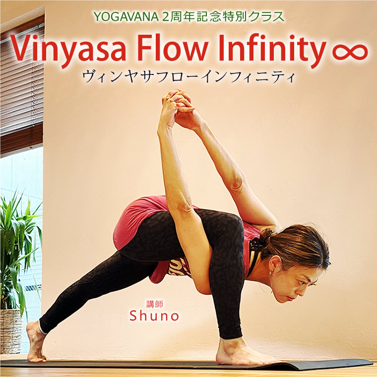 Vinyasa Flow Infinity