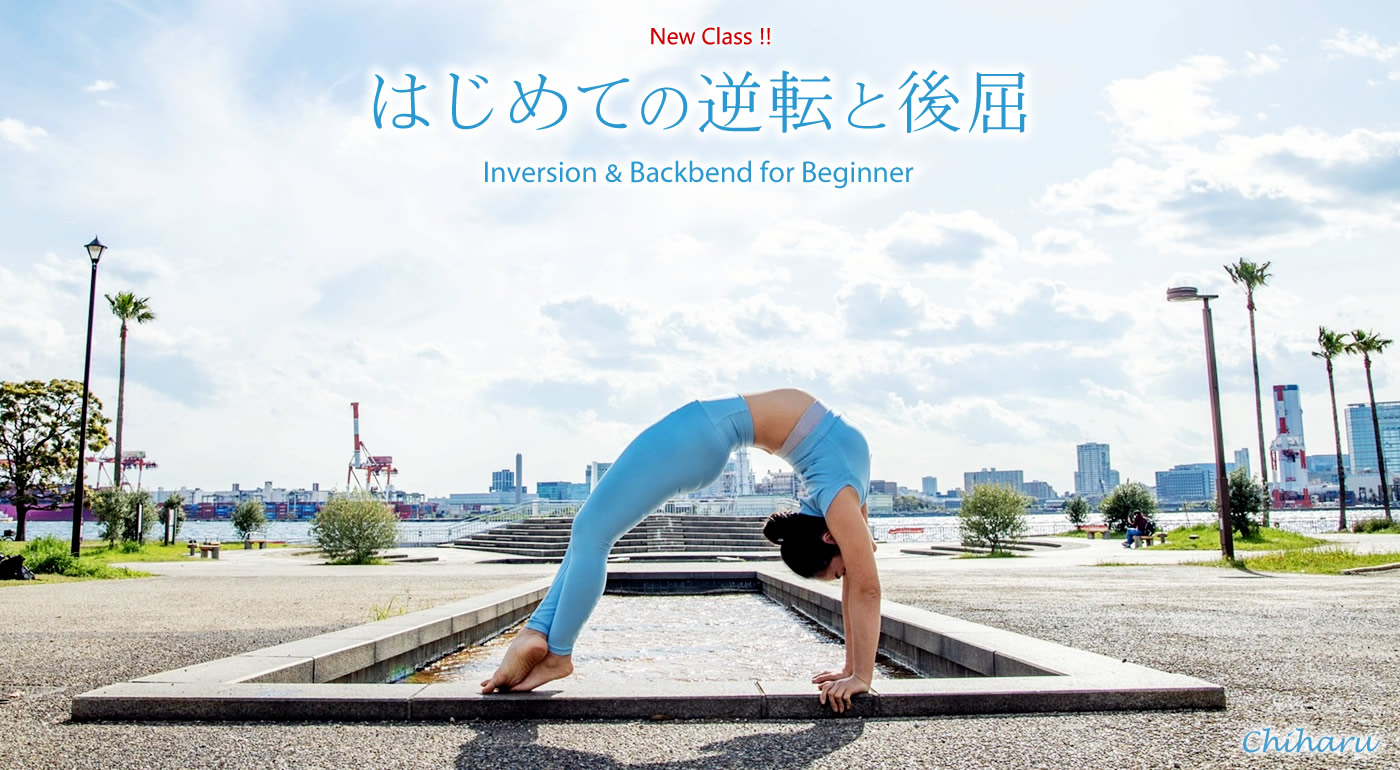 Yogavanaヨガスタジオ 東横線 多摩川線 目黒線 多摩川駅 徒歩1分 自然豊かな森と川に囲まれた東京のオアシス 多摩川 田園調布 東京都大田区 にある本格ヨガ スタジオ バリ島にあるヨガスタジオがデザインコンセプト 田園調布 田園調布本町 東嶺町 西嶺町
