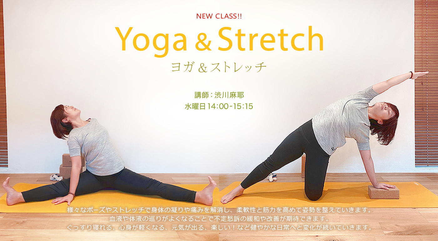 お知らせ Yogavanaヨガスタジオ 東横線 多摩川線 目黒線 多摩川駅 徒歩1分 自然豊かな森と川に囲まれた多摩川 田園調布にある本格派ヨガ スタジオ バリ島にあるヨガスタジオがデザインコンセプト 副都心線 三田線 南北線 みなとみらい線直通